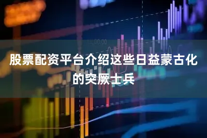 股票配资平台介绍这些日益蒙古化的突厥士兵