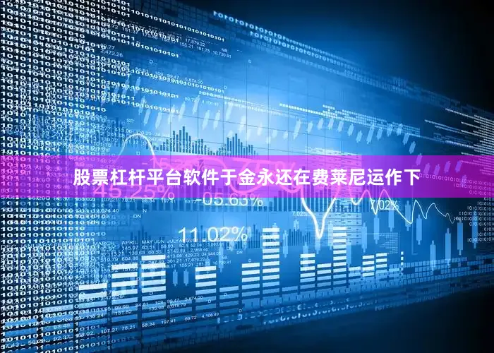 股票杠杆平台软件于金永还在费莱尼运作下