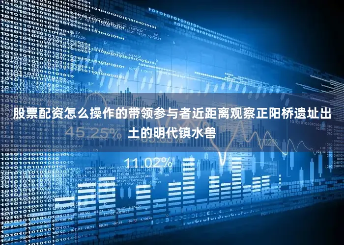 股票配资怎么操作的带领参与者近距离观察正阳桥遗址出土的明代镇水兽