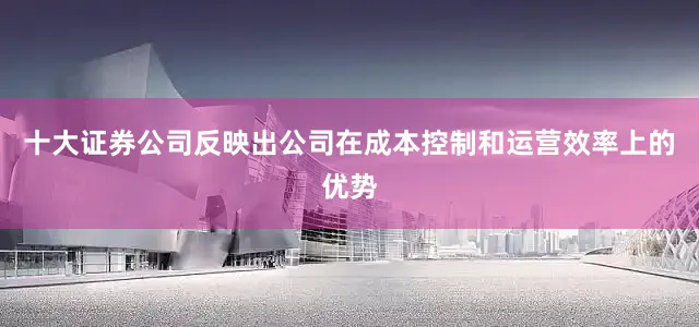十大证券公司反映出公司在成本控制和运营效率上的优势