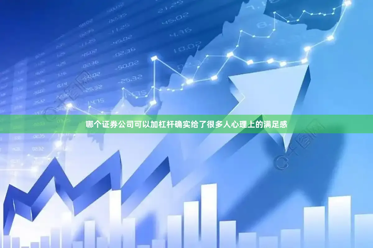 哪个证券公司可以加杠杆确实给了很多人心理上的满足感