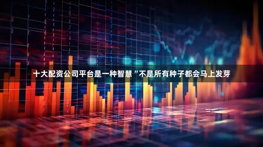 十大配资公司平台是一种智慧“不是所有种子都会马上发芽