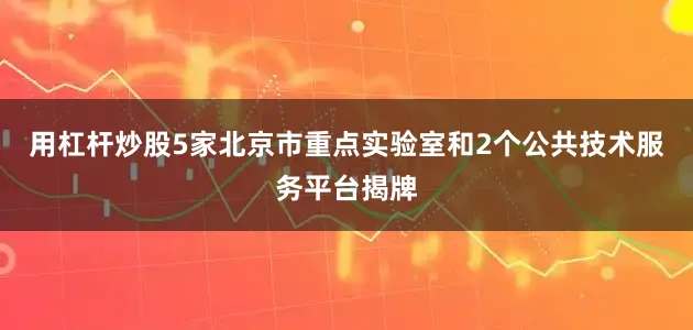 用杠杆炒股5家北京市重点实验室和2个公共技术服务平台揭牌