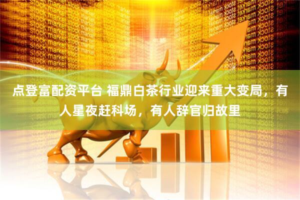 点登富配资平台 福鼎白茶行业迎来重大变局，有人星夜赶科场，有人辞官归故里